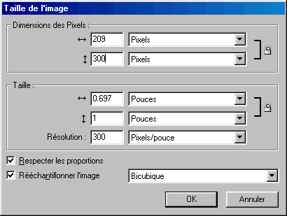 firework-taille